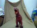 videos de dino