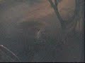 Vital 2006 - Mij�o