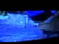 videos de 02-12-08 2142
