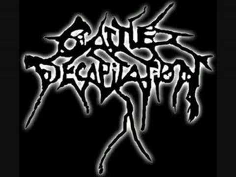 Methane cattle | methane cattle