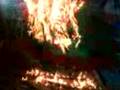 videos de Burning my Grafiti