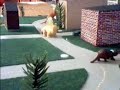 Dinosaurs! Dinosaurs!