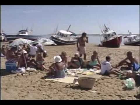 Voir la vidéo