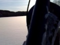Pug on the lake