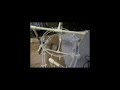 Engineer Real Video
