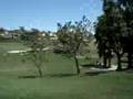 Hellavaistic at the Carson Palmer Golf Open
