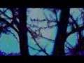 Downtempo - Better Days - Music Video