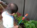 MVI_5449.AVI