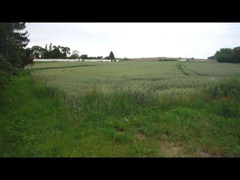 Video Prodej stavebního pozemku - Hořesedly u Rakovníka