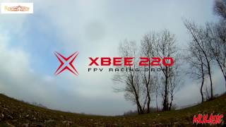 Testing Dshot and my new frame XBee XB-X MK2