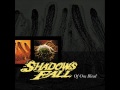 Shadows Fall
