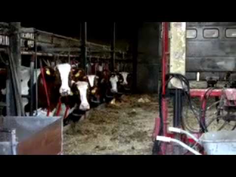 See video