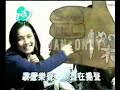 王傑 - 我真的愛上你(KTV)