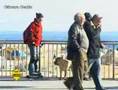 Ligar es fácil si sabes cómo - Técnica del perrito