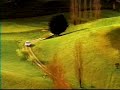 Daewoo Leganza commercial (beautiful fly away)