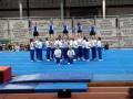 Ozark acrofest performane