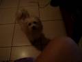 Pipi na caaaam!