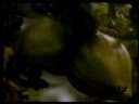 Polska Kronika Filmowa - marihuana