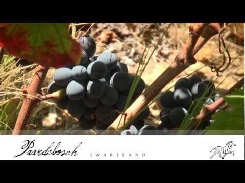 Natural Winemaking photo