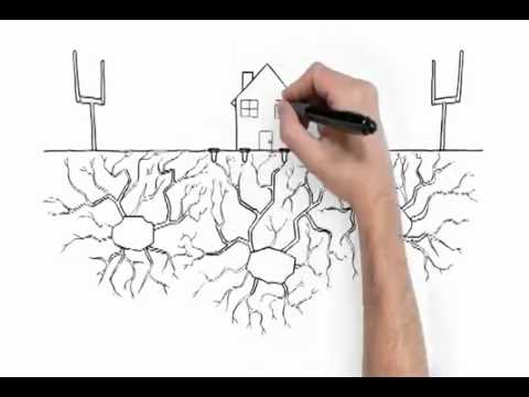 how to dissolve boric acid