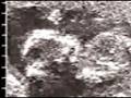 GEAN061C.MOV