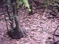 Clay Hill - Anthills/ Terry Hershey Park, Houston Texas Mountain Biking