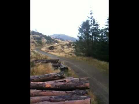 Kris Meeke Rally of Scotland Test Video and Photos YouTube Preview Image