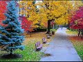 Ileana Berki-Birtule Batranule.wmv