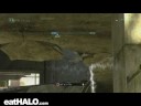 Team Snipers
