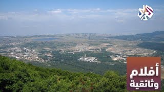 التلفزيون العربي│وثائقي: الطريق إلى الصفصاف