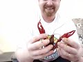 How to Peel Louisiana Crawfish