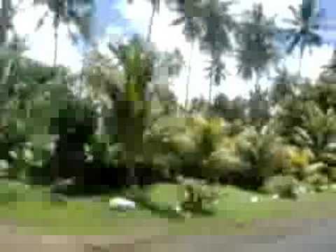 Apia Road Trip Part 2