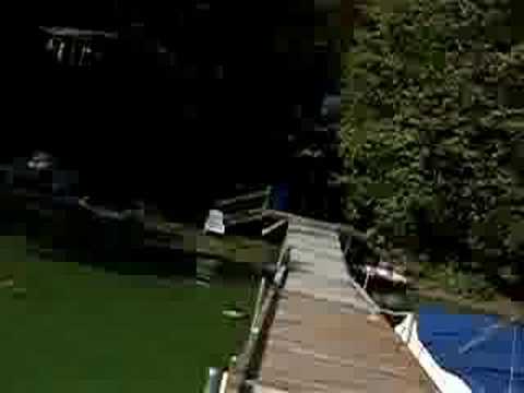 Muskoka Blue/Green Algae on Three ...