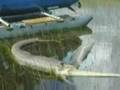 Python vs Alligator