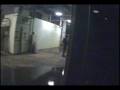 videos de Airsoft zombies - Outbreak 2 (part 2 of 3)