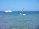 videos windsurf