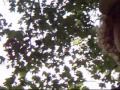 Household Stunts crazy awesome vid Household Stunts crazy awesome vid