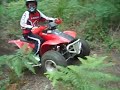 falsa curva trx 300
