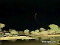 The Pond Lights Up