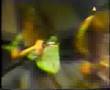 Skyclad-thinking allowed