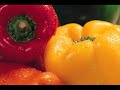 What is Metabolic Typing What is Metabolic Typing