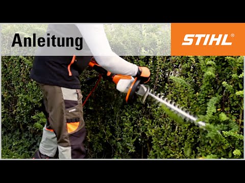 Schnitt-Technik Elektro-Heckenschere: Trapezschnitt mit der STIHL HSE 61
