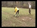 ASFA Trial Saluki Vet Lure Coursing host by LVCC