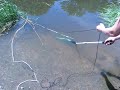 How to catch blue crab