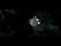 abrelatas -números