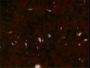 SPACEFILES