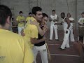 Tiago e Tartaruga