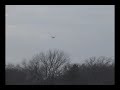 SDM Piper Cub: Mild Aerobatics SDM Piper Cub: Mild Aerobatics
