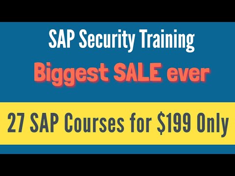 how to provide authorization in sap