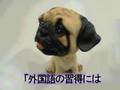 どうして私のアルバムだけないの?